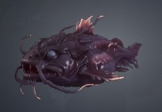 Corinthian Lynxfish