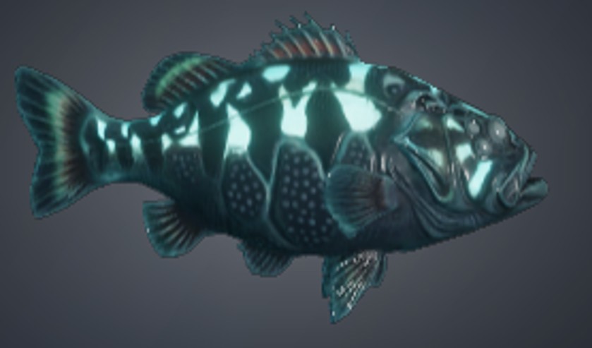 Drainwater Bassling