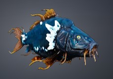 Bluescale Carp