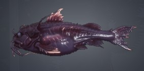 Juvenile Spikefin Catfish