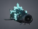 Atlantian Sturgeon
