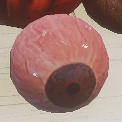 Infected Eyeball