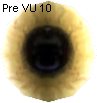 Atrox Eye