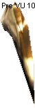 Aurli Claw