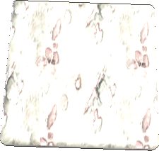 Chomper Leather Texture