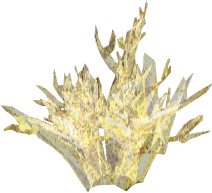 Clear Crystal