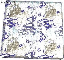Cobalt Texture