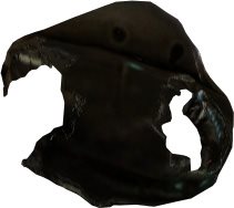 Cracked Shell