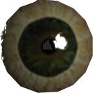 Cyclops Eye
