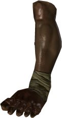 Cyclops Leg