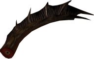 Drake Tail