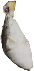 Duhol Sack of Bones