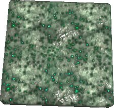 Erdorium Texture