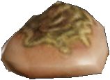 Exarosaur Meat