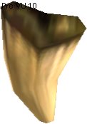 Exarosaur Tooth
