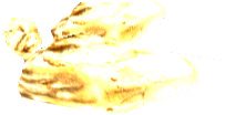 Flesh