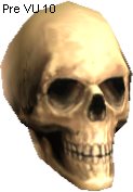 Human Skull