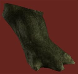 Huon Foot