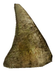 Huon Tail Spike