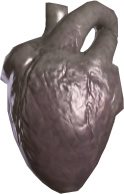Korwil Heart