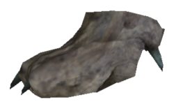 Korwil Paw