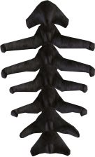 Korwil Spine