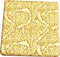 Leopard Texture