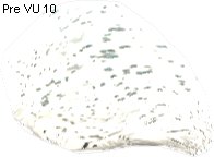 Lysterium Stone