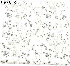 Lysterium Texture