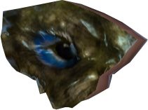Madana Eye