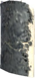 Mermoth Skin