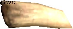 Molisk Claw