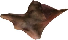 Oweko Forearm