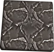 Panther Texture