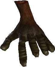 Papoo Foot