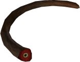 Papoo Tail