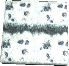 Phasm Leather Texture