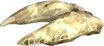 Primordial Longu Claw