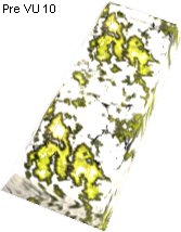 Quantium Ingot