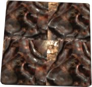 Rhino Beetle Leather Texture