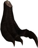 Riptor Foot