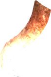 Tail Tip