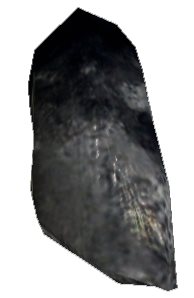 Tiarak Nail