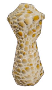Trabecular Base