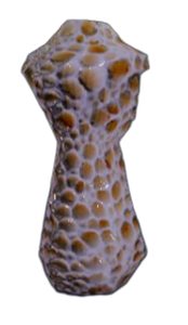 Trabecular Modified