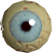 Wolf Eye